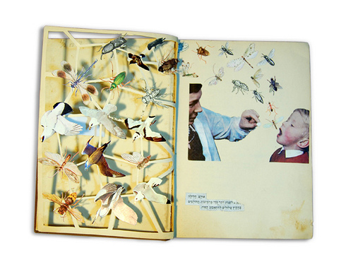 book2[1]